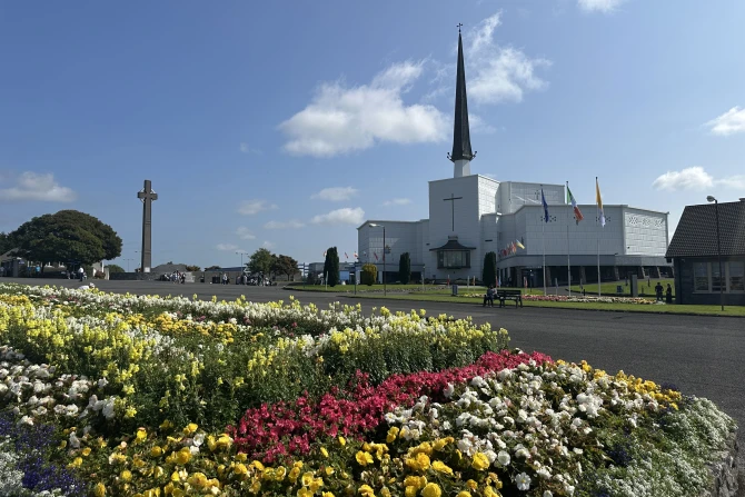 KnockShrineFlowers