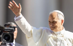 Pope Leo XIV greets pilgrims at the Wednesday general audience in St. Peter’s Square on June 25, 2025. Credit: Daniel Ibáñez/CNA