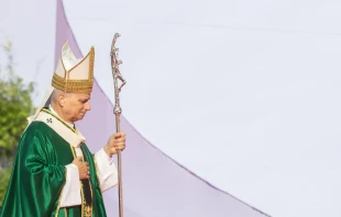Pope Leo XIV prays during Mass for more than 1 million young pilgrims at the University of Rome Tor Vergata, in Rome’s outskirts, on Aug. 3, 2025. Credit: Daniel Ibanez/CNA
