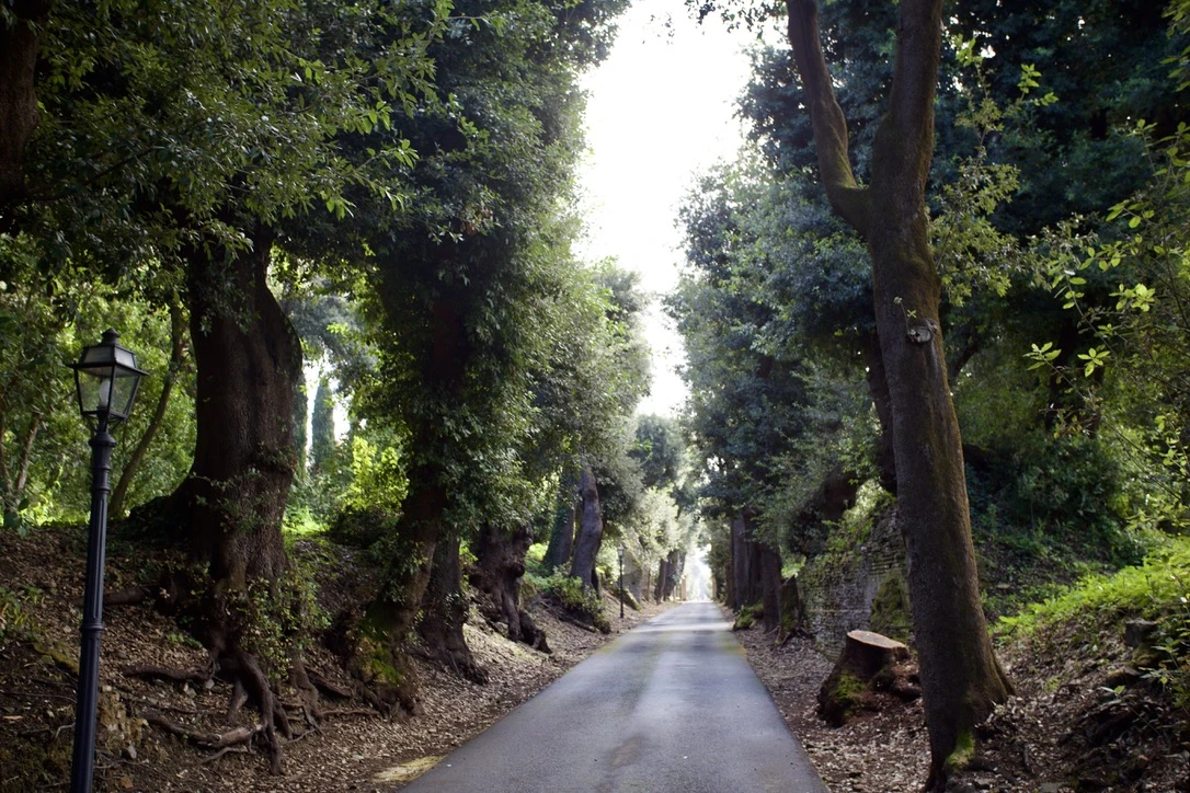 The Vatican Gardens at Castel Gandolfo in Italy.?w=200&h=150