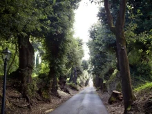 The Vatican Gardens at Castel Gandolfo in Italy.