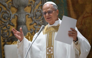 Pope Leo XIV gives the homily at Mass with the cardinale electors in the Sistine Chapel on May 9, 2025. Credit: Vatican Media