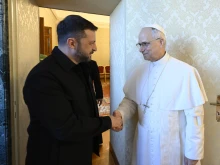 Pope Leo XIV greets Ukrainian President Volodymyr Zelenskyy at Castel Gandolfo on July 9, 2025.