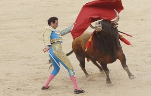 Bullfighting, which has existed since 711 A.D., is being denounced and labeled as animal cruelty by Father Terry Martin, a Catholic priest in England and an outspoken advocate for the welfare of animals. Last year Martin sent a joint letter with priests from Canada and France to Pope Francis calling on the pope to condemn the “torture and violent slaughter of innocent bulls.” Credit: Torero E. Ponce Feria de Melilla, via Wikimedia Commons