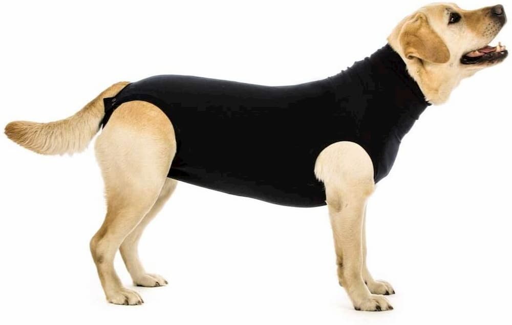 Suitical Recovery Suit for Dogs