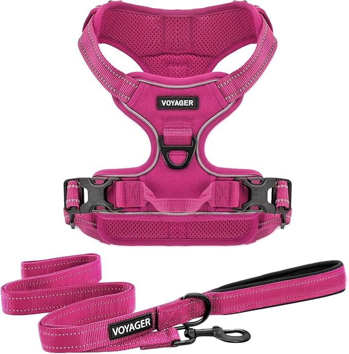 Best Pet Supplies Voyager Dog Harness and Leash Set