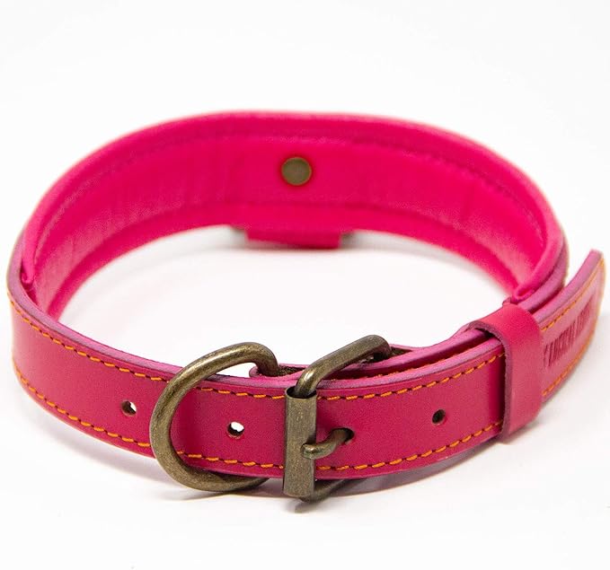 Gaucho Leather Goods Miami Vice Leather Dog Collar