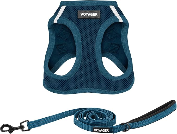 Best Pet Supplies Voyager Step-in Air All Weather Mesh Harness and Leash Set