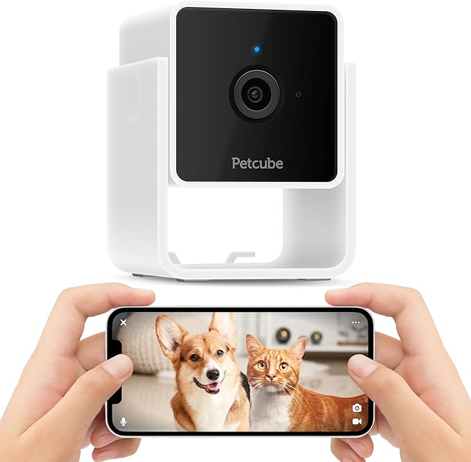 Petcube pet camera