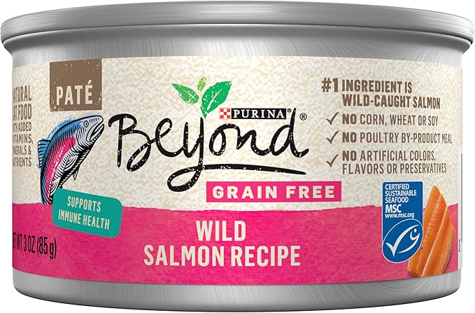 Beyond Grain Free Wild Salmon Recipe Paté Wet Cat Food