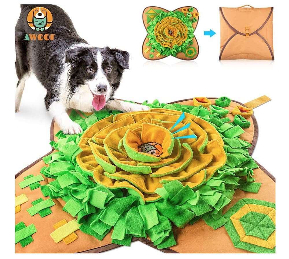 AWOOF Snuffle Mat Pet Dog Feeding Mat