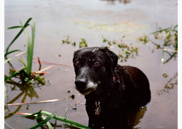 Bailey, 14 - Franklin, Tenn.