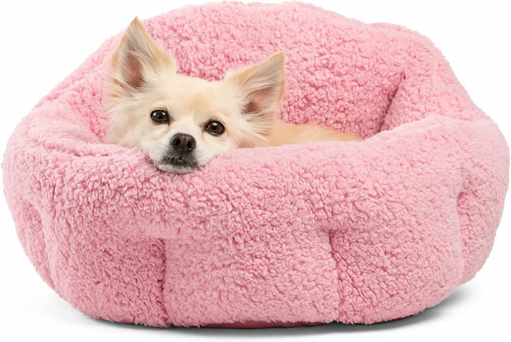 dog in sherpa style bed