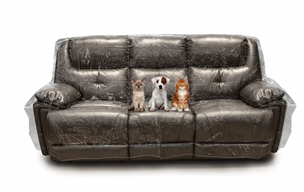 dog couch protectors 