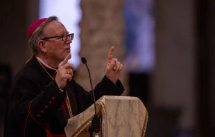 Bishop Robert Barron delivers the keynote address at the Jubilee of Youth’s National U.S. Pilgrim Gathering on July 30, 2025, at the Basilica of St. Paul Outside the Walls in Rome. Credit: Daniel Ibañez/CNA