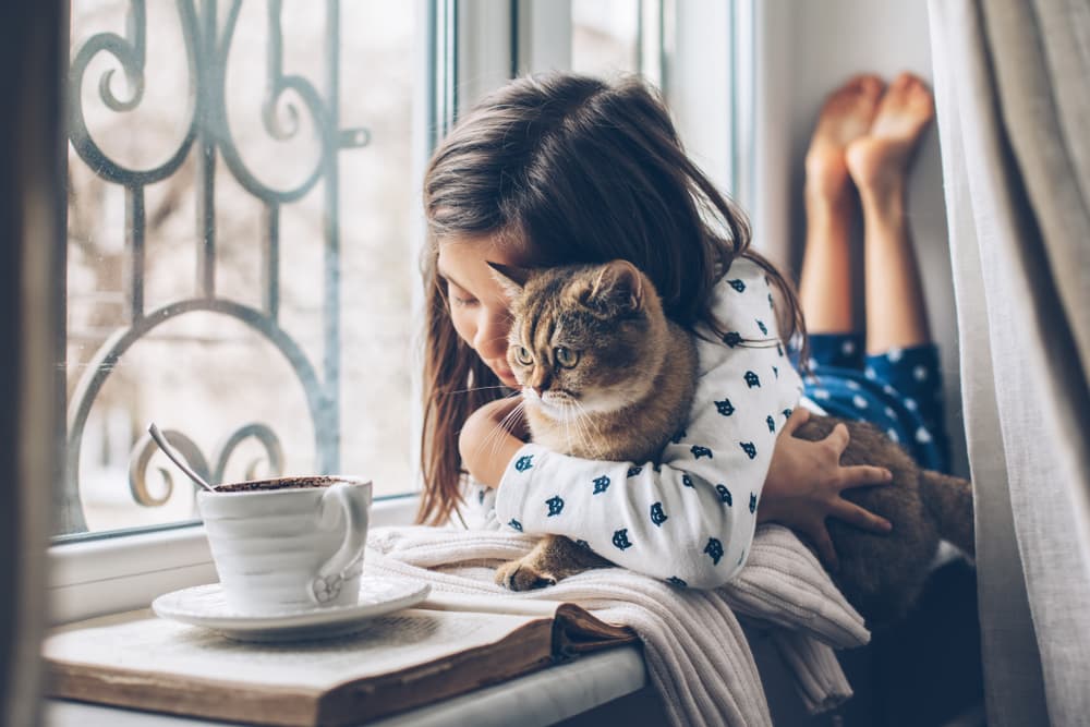 10 Best Cat Mugs for Sipping in Style