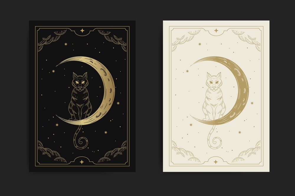 Cat Tarot Cards: 8 Decks for Predicting Feline Futures