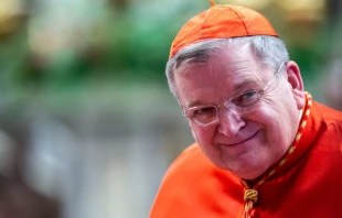 Raymond Leo Cardinal Burke during the solemnity of Sts. Peter and Paul in St. Peter’s Basilica in Vatican City, June 29, 2019. Credit: Daniel Ibáñez/CNA