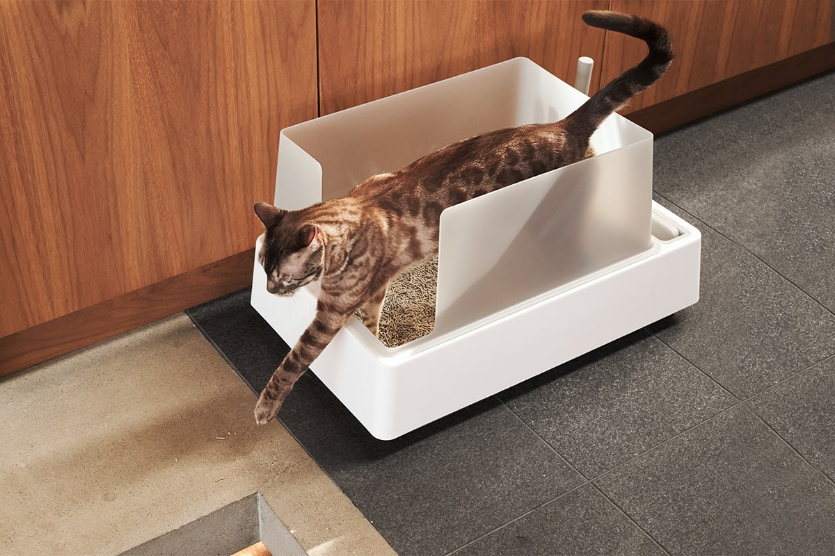 Splurge litter box