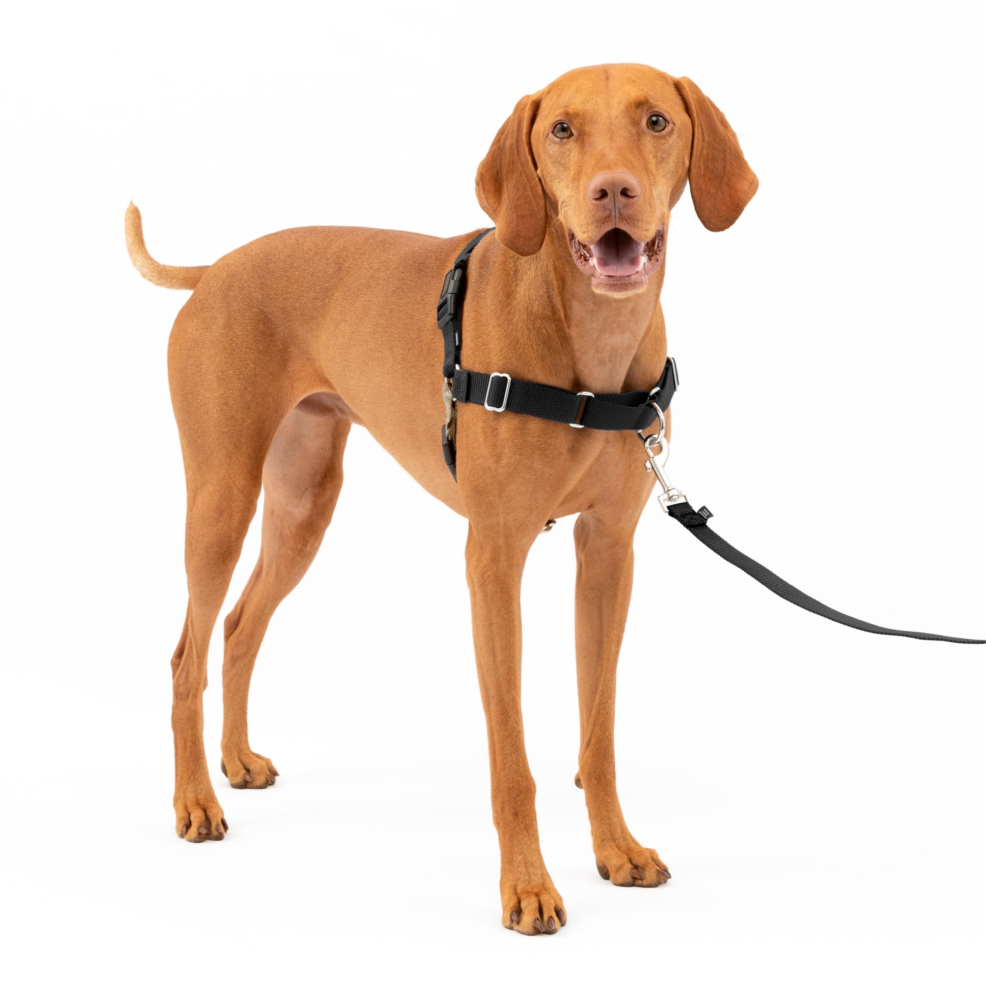 PetSafe Easy Walk Dog Harness