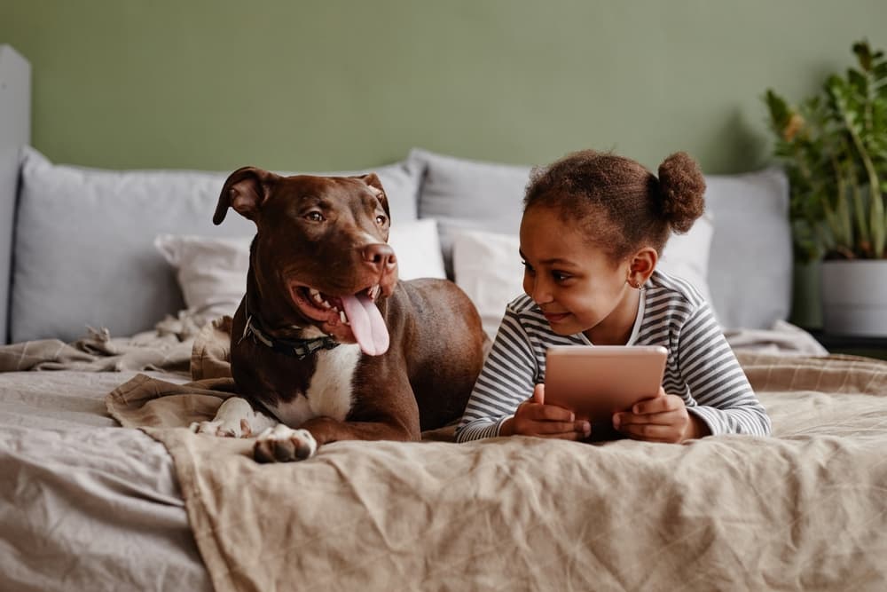 Dog and child laying on the bed