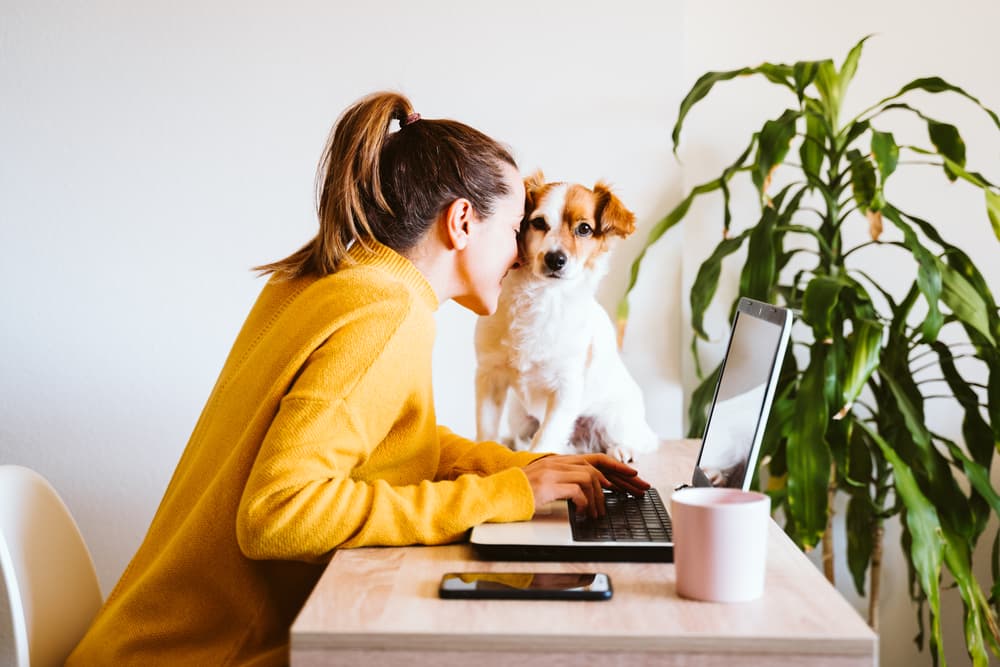 Owner snuggling dog's face as it sits on their desk next to their laptop