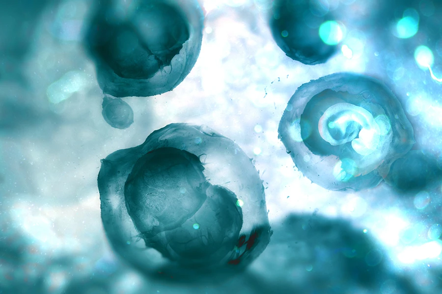 Human embryos.?w=200&h=150