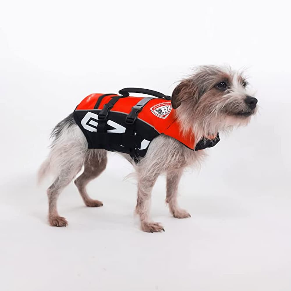 EzyDog Micro Doggy Flotation Device