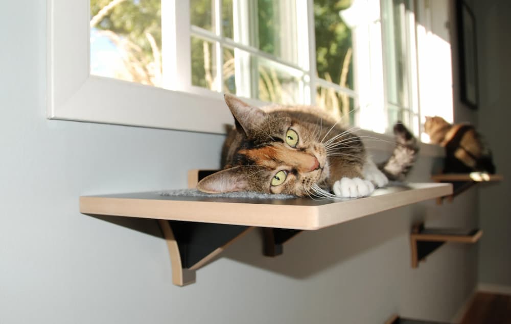 Fremont Cat Perch - cat wall furniture