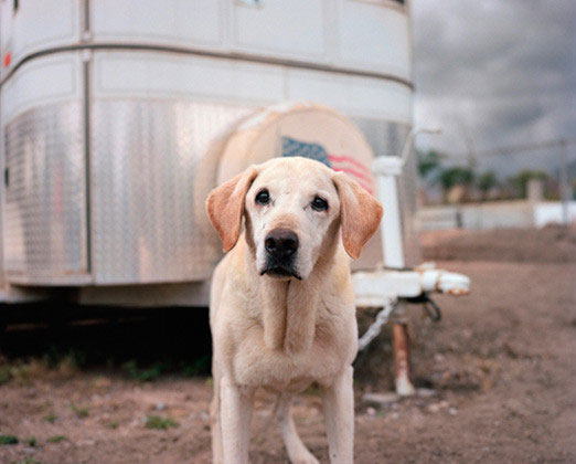 Guinness, 15 - Highland, Calif.