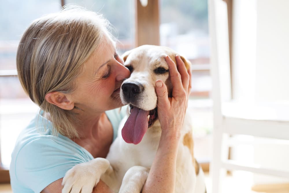 Happy dog owner at home