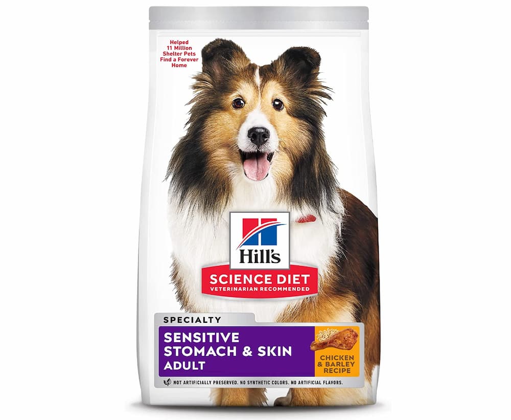 Hill's Science Diet Dry Dog Food