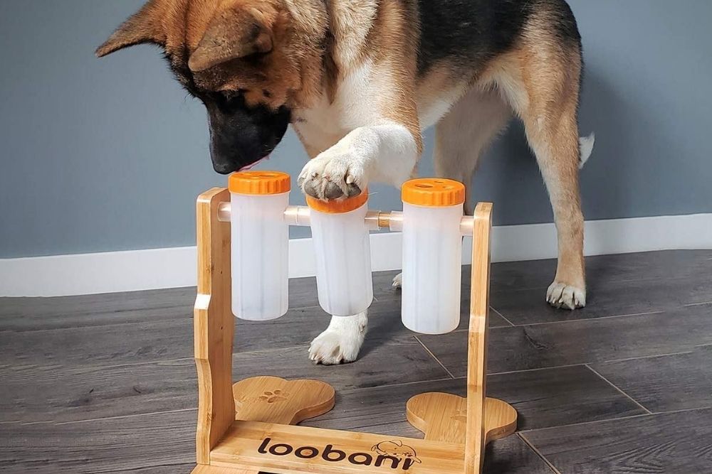 Loobani puzzle dog toy