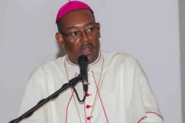 Archbishop Max Leroy Mésidor