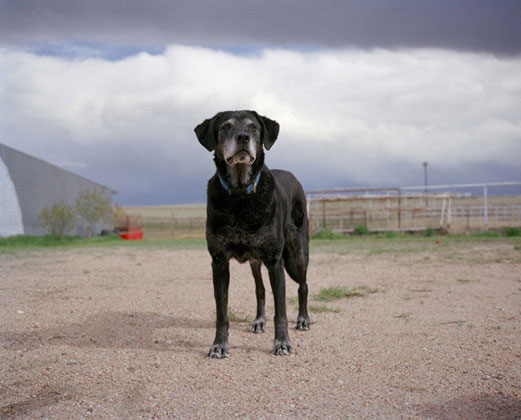 Merlyn, 14 - Otis, Colo.