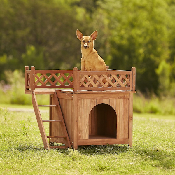 Merry Products Room with a View Dog House