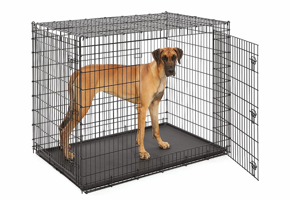 MidWest Homes for Pets XXL Giant Dog Crate