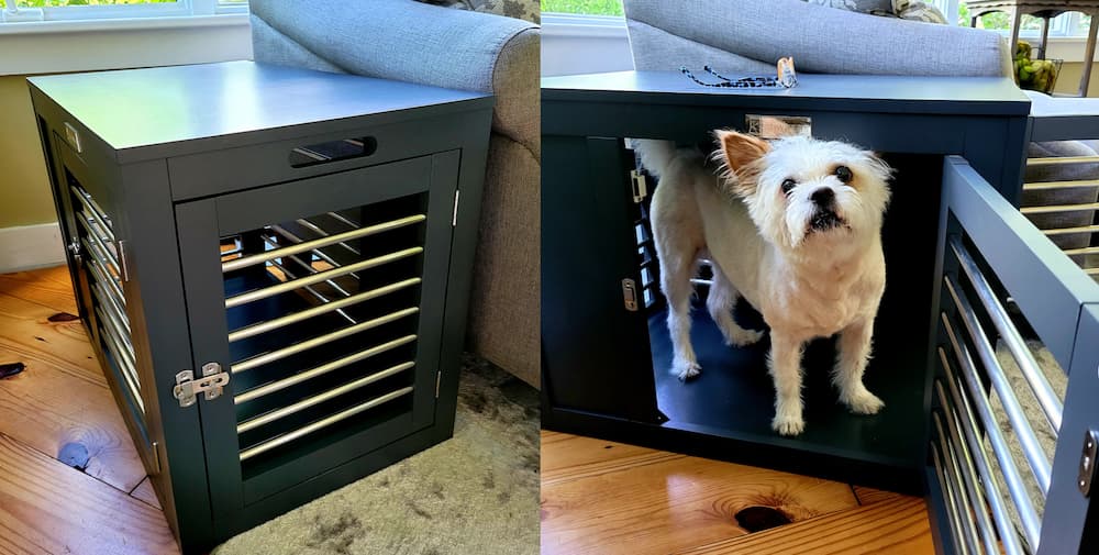 Photo of dog in crate testing out new dog crate