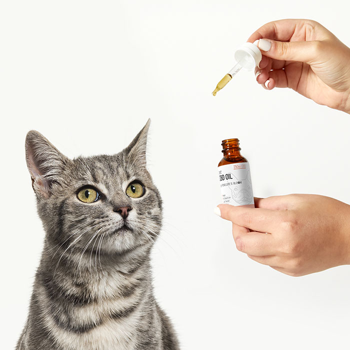 Penelope’s Bloom CBD Oil