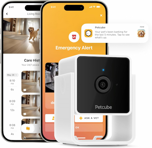 Petcube Cam Wi-Fi Pet and Security Camera