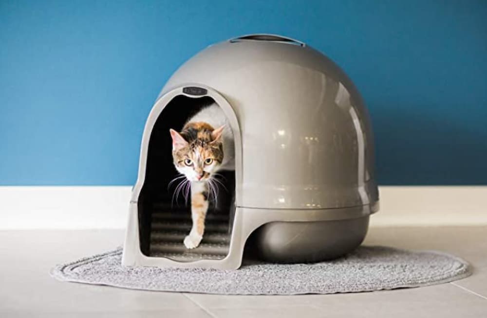 Petmate Booda Dome Clean Step Cat Litter Box