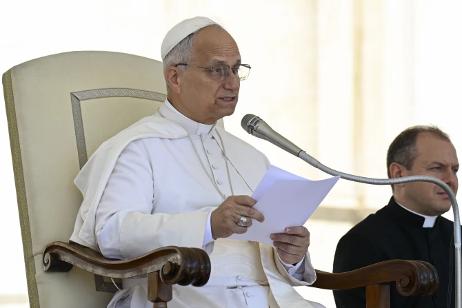 Pope Leo general audience