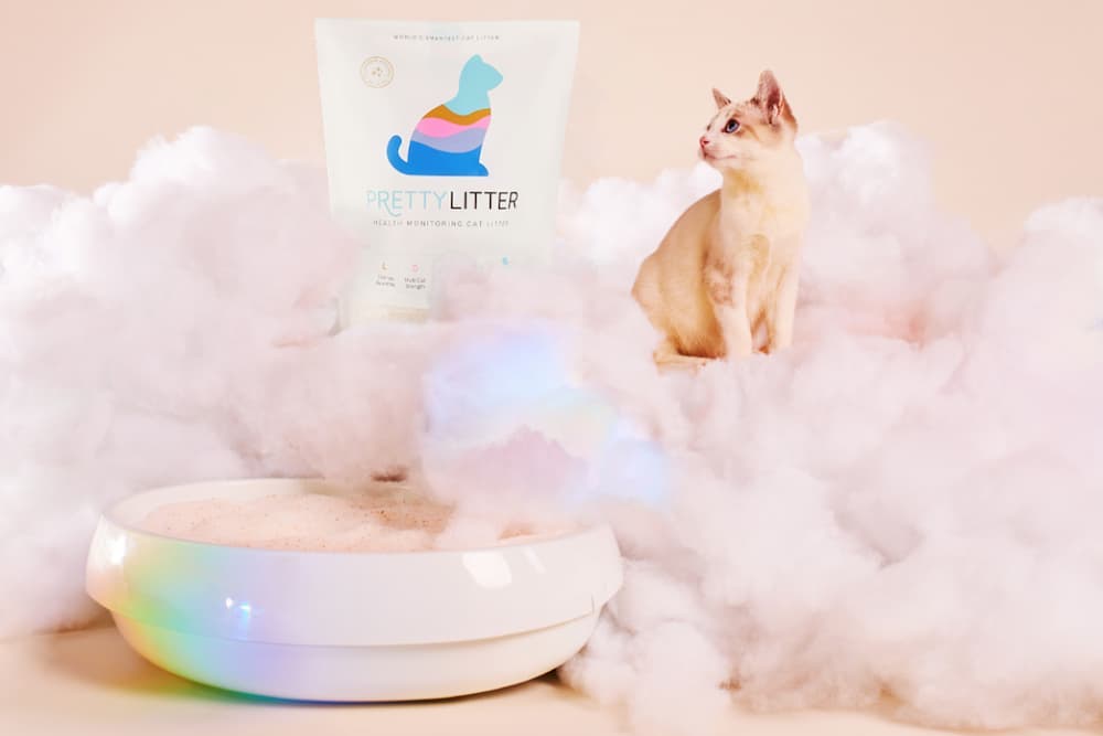 PrettyLitter Review: A Super Smart Litter Box Solution