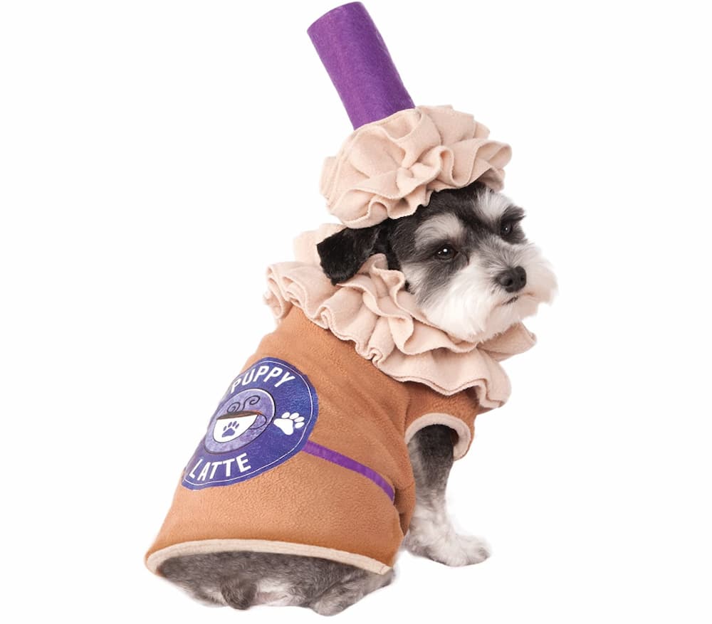 Puppy Latte Pet Costume