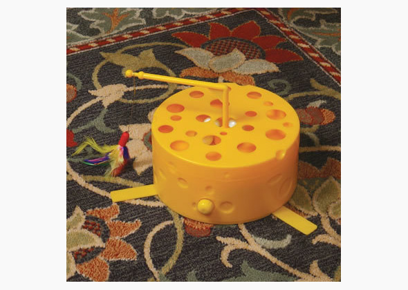 Swiss Cheese Motion Toy