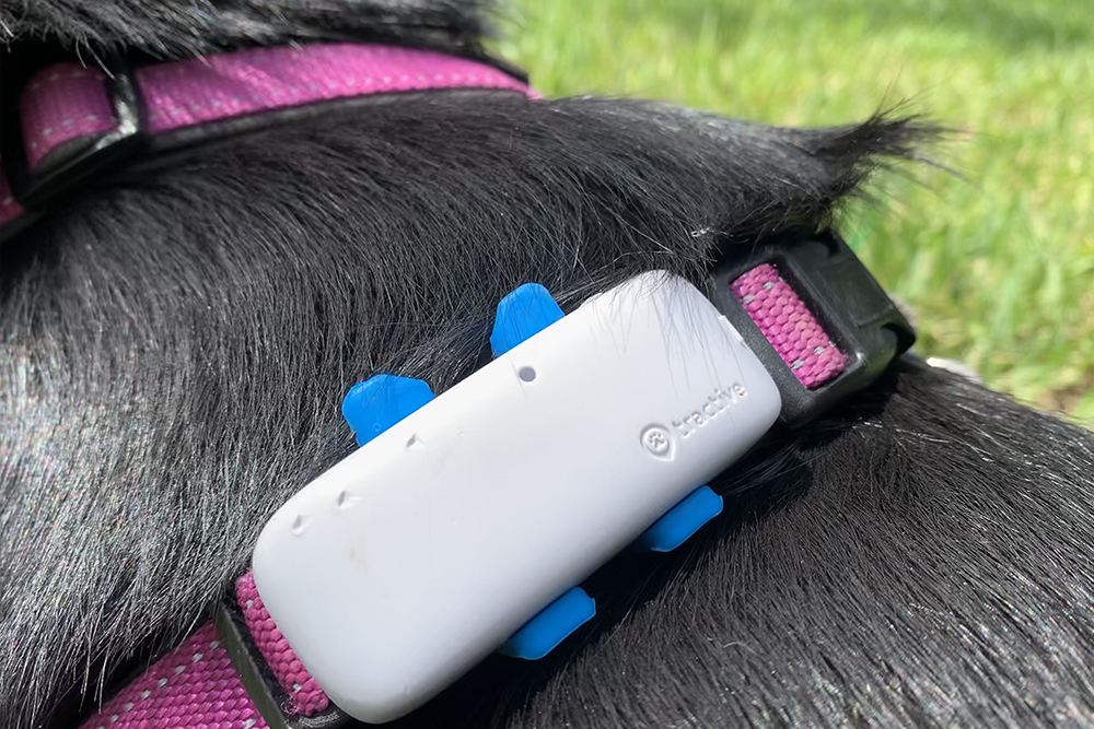 Tractive GPS pet tracker for dogs