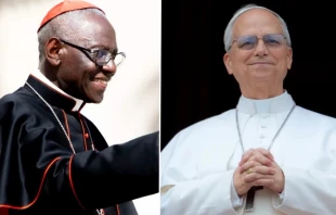 Cardinal Robert Sarah and Pope Leo XIV. Credit: Daniel Ibáñez/EWTN News