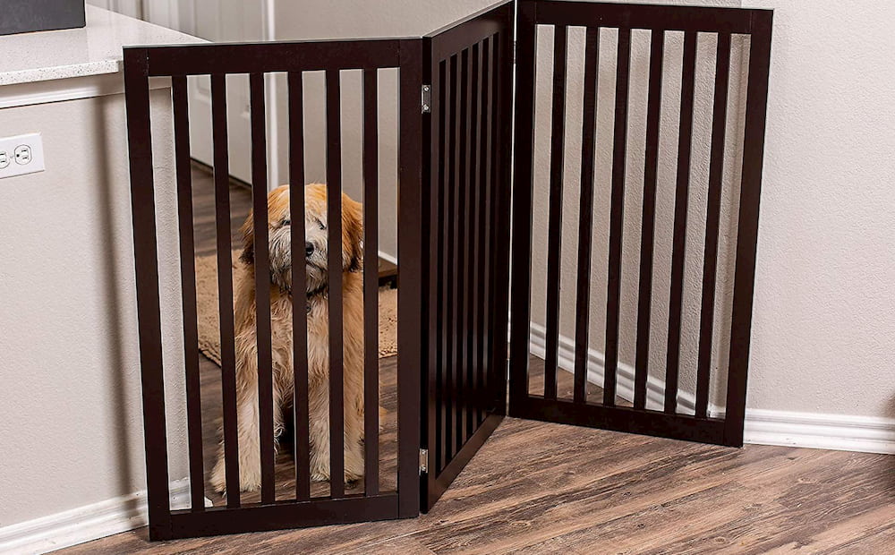 Internet’s Best Traditional Pet Gate