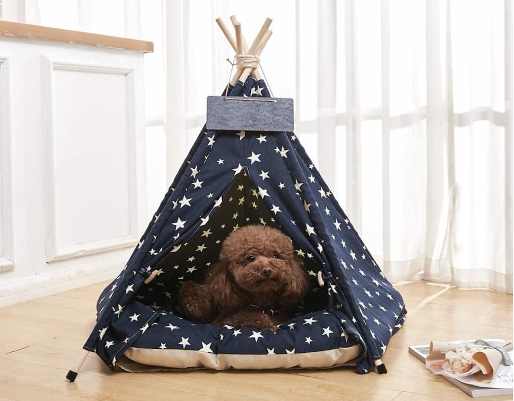 Arkmiido Pet Teepee Dog Bed