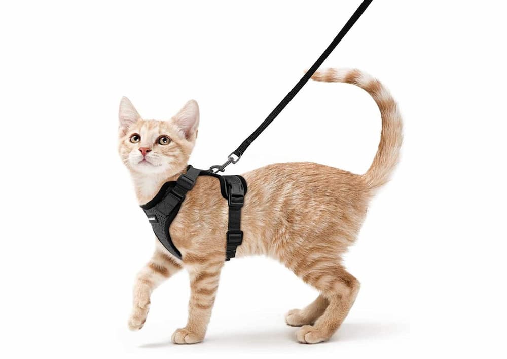 Rabbitgoo Cat Harness and Leash Set